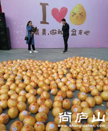 QQ截图20170217001127.jpg