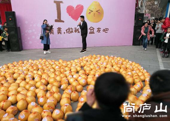 QQ截图20170217001241.jpg