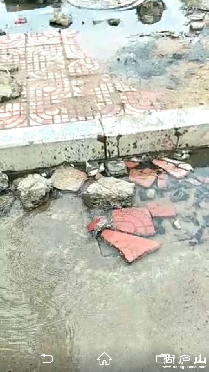 121948745252745606.jpg