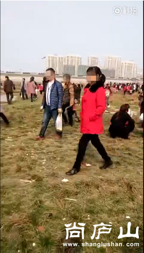 QQ截图20170303084056.png