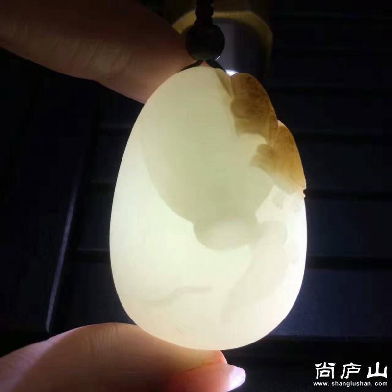 QQ图片20170309091824.jpg