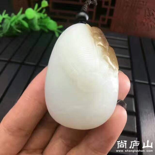 QQ图片20170309091906.jpg