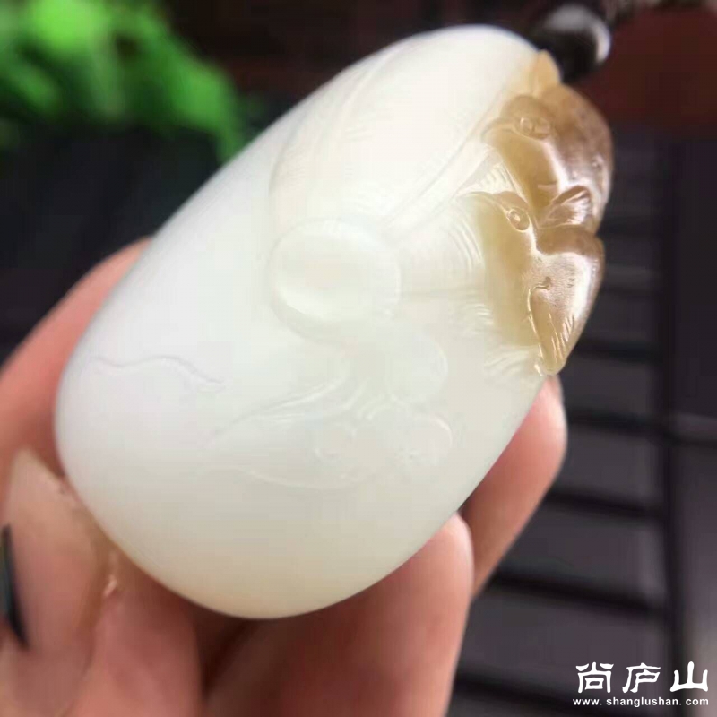 QQ图片20170309091915.jpg