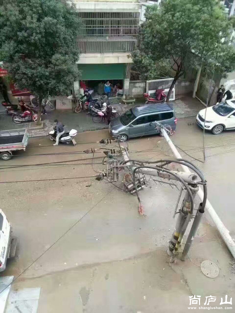 570890471367343505.jpg