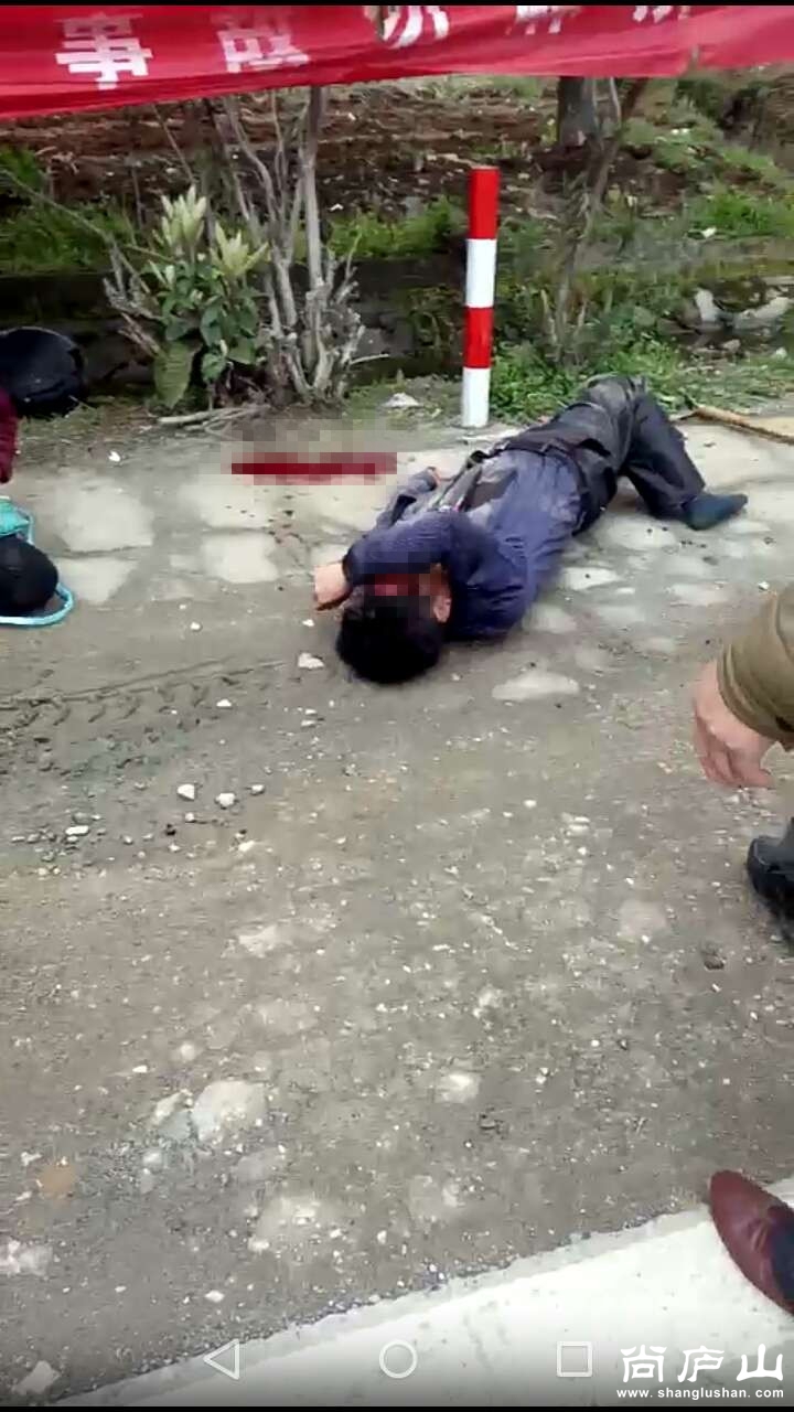 98187450498323415.jpg
