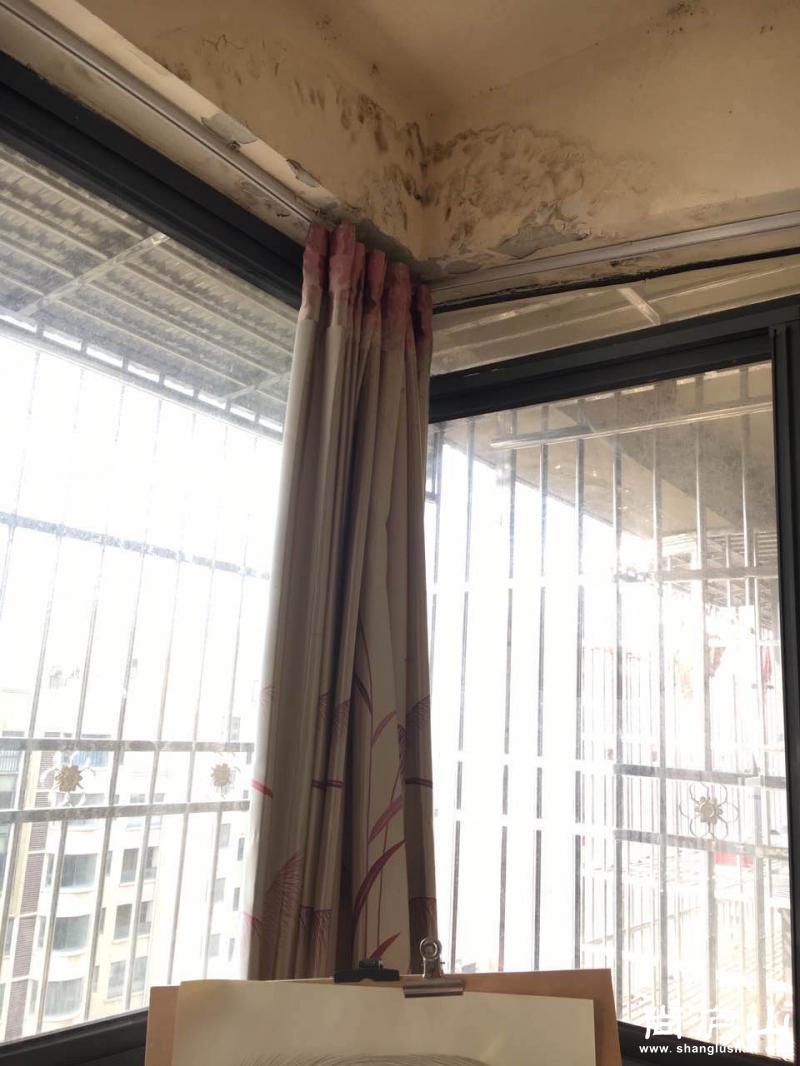 微信图片_20170322130431.jpg