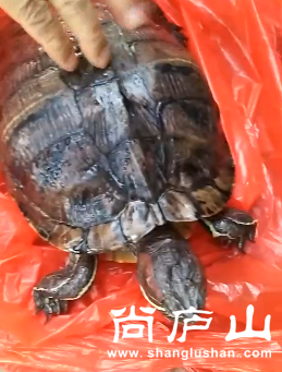 微信截图_20170329143721.png