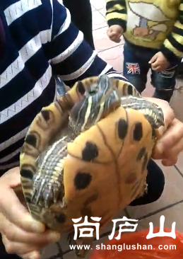 微信截图_20170329143829.png