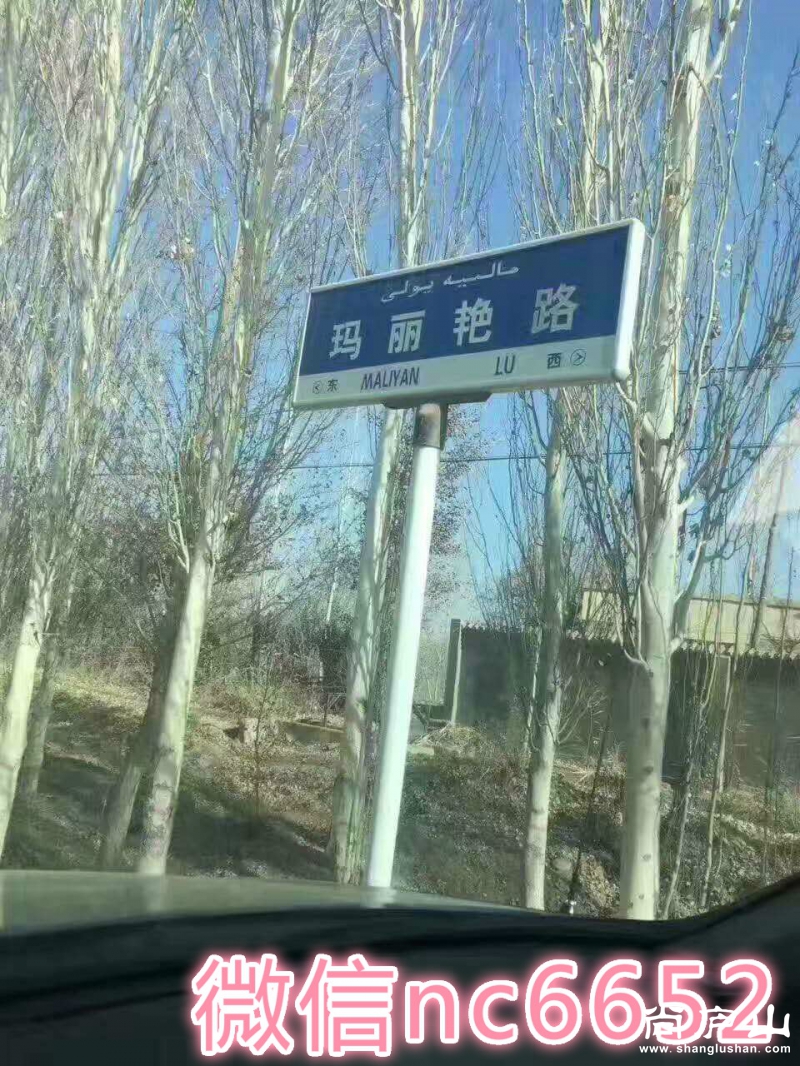 01.jpg