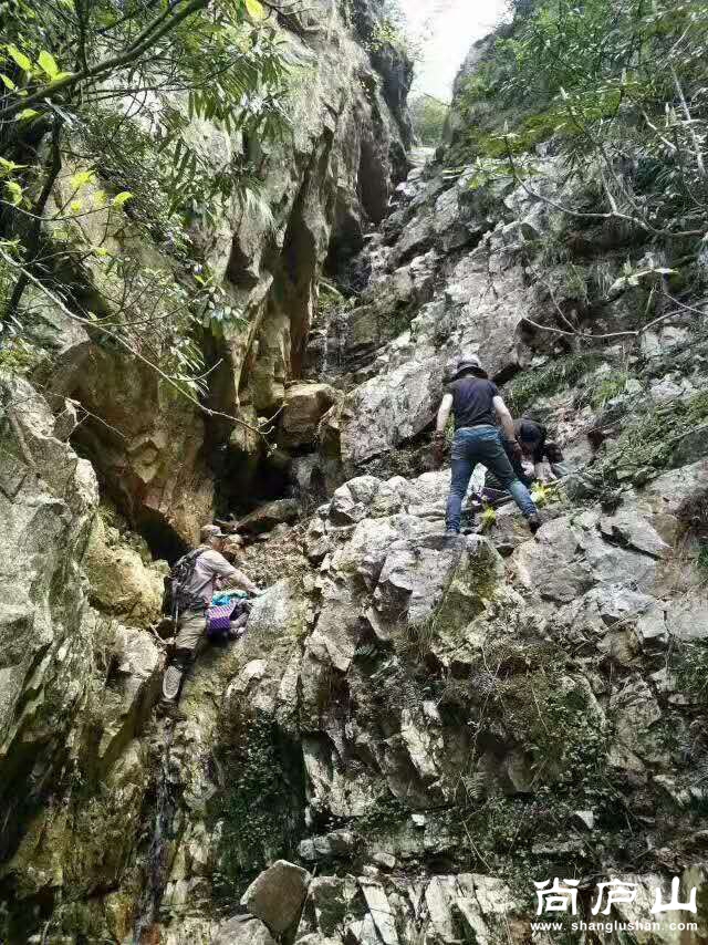 微信图片_20170416094949.jpg