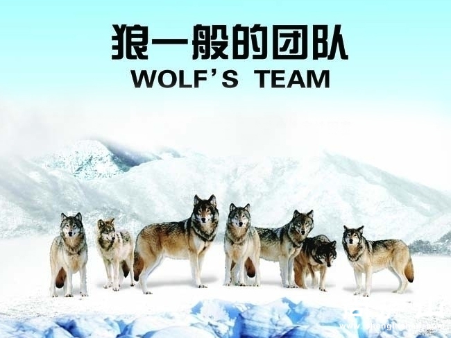 我们期待你加入我们