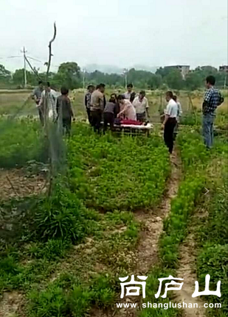 搜狗截图17年05月19日1320_2.png
