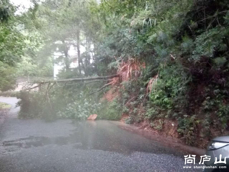 微信图片_20170702094941.jpg