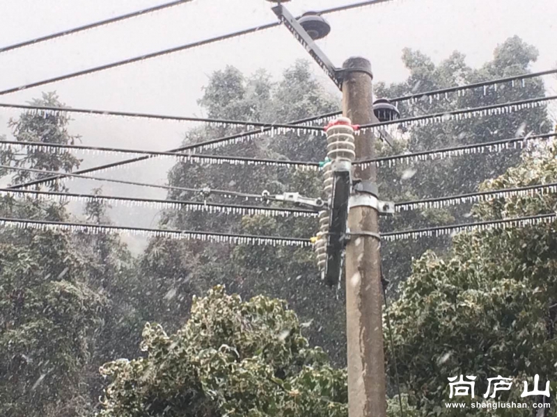 微信图片_20180126111047.jpg