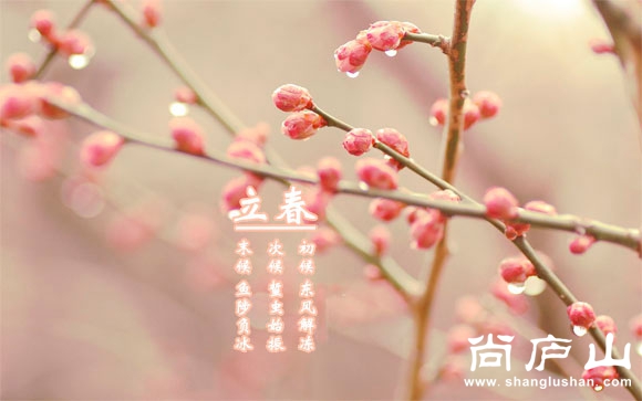 201502040852067414.jpg