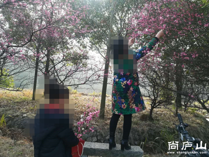 微信图片_20180225163624.jpg