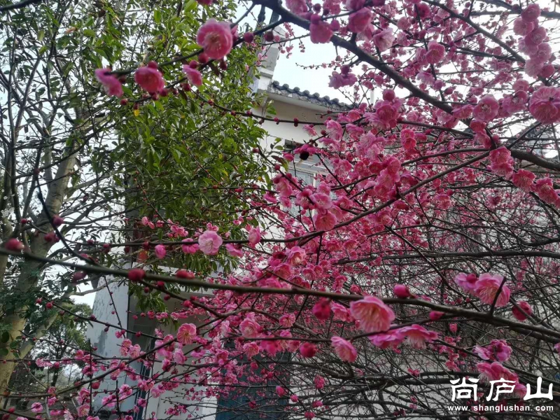 微信图片_20180225163630.jpg