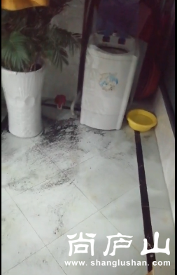 QQ截图20190623081928.png
