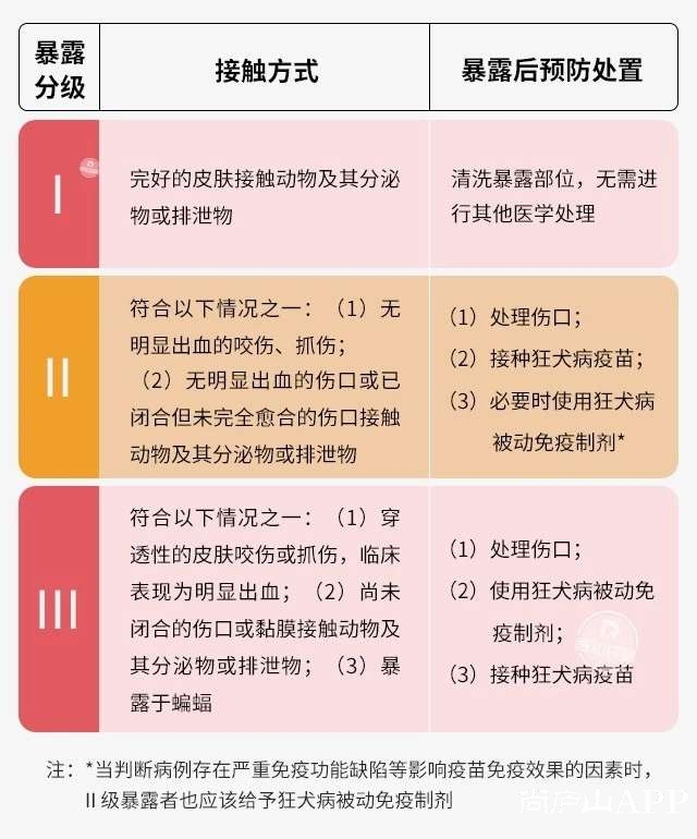 触目惊心2图片