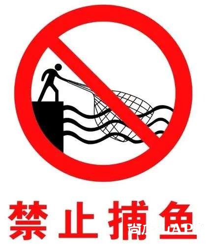 规定】  这篇文章,请转给你身边对"长江禁渔"有任何疑问的朋友