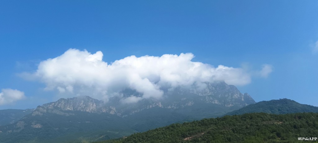 今天拍摄一条巨型白龙盘踞庐山五老峰